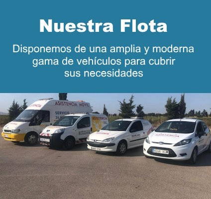 Flota