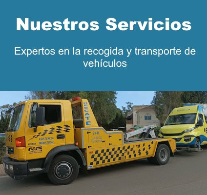 Servicios
